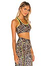 view 2 of 4 Front Row Bra in Leopard