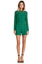 view 4 of 5 Colarin Lace Jumpsuit in Gem Green