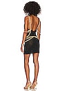 view 3 of 4 Leonie Dress in Black & Gold