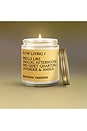 view 2 of 2 Slow Living Glass Jar Candle in 