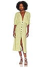 view 1 of 3 Mia Dress in Celery Foxglove