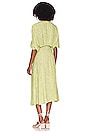 view 3 of 3 Mia Dress in Celery Foxglove