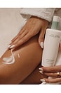 view 7 of 7 Rr Powerbody Restore & Regenerate Body Milk in 