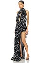 view 2 of 4 Maxi Halter Neck Dress in Dot Pattern