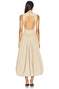 view 3 of 3 Aria Maxi Dress in Khaki
