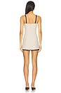 view 3 of 3 Lindsay Mini Dress in Beige