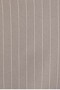view 4 of 4 Vestido Mini Trina in Grey Stripe