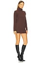 view 2 of 3 Meryl Sweater Dress in Brown