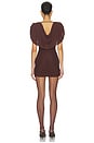 view 3 of 3 Camille Mini Dress in Brown