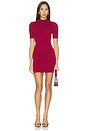 view 1 of 3 Tawny Mini Dress in Burgundy