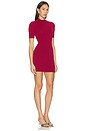 view 2 of 3 Tawny Mini Dress in Burgundy
