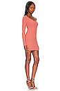 view 2 of 4 Trish Mini Dress in Terracotta