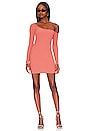 view 4 of 4 Trish Mini Dress in Terracotta