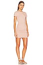 view 2 of 4 Darlah Ruched Mini Dress in Nude