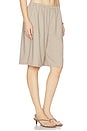 view 2 of 6 Londyn Short in Taupe