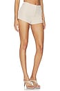 view 2 of 6 Landry Short in Beige
