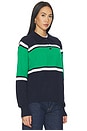 view 2 of 4 Eileen Polo Sweater in Navy & Green