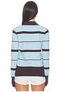 view 4 of 4 Judy Polo Top in Blue & Brown Stripe