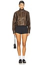 view 5 of 5 CHAQUETA BELLA in Brown