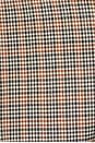 view 6 of 6 BLOUSON STARLING in Brown Plaid Multi