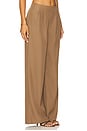 view 2 of 6 Lily Pant in Brown