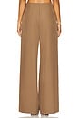 view 4 of 6 Lily Pant in Brown