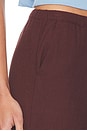 view 6 of 6 PANTALON LILIJANA in Brown