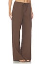 view 2 of 6 Louisa Drawstring Pant in Brown