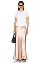 view 5 of 6 Ani Maxi Skirt in Champagne