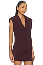view 2 of 4 Colete Sable Top in Burgundy