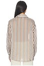 view 4 of 5 Minnie Button Down Top in Brown Stripe