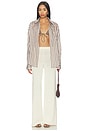 view 5 of 5 Minnie Button Down Top in Brown Stripe