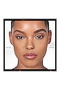 view 7 of 7 Brow Powder Duo in Ebony
