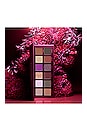 view 6 of 7 Fall Romance Eye Shadow Palette in 