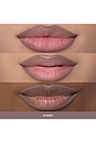 view 2 of 12 Lip Liner in Stormy