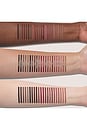 view 5 of 10 CRAYON À LÈVRES LIP LINER in Phantomline