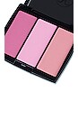 view 2 of 2 KIT DE BLUSH BLUSH TRIO in Pink Passion