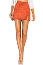 view 1 of 4 Dillon Mini Skirt in Rust