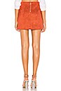 view 3 of 4 Dillon Mini Skirt in Rust