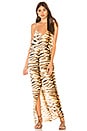 view 1 of 3 Nunu Dress in Tiger
