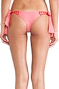view 3 of 4 BAS DE MAILLOT DE BAIN ANINI in Ginger