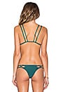 view 3 of 4 Kekaha Bikini Top in Seaweed