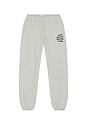 view 1 of 6 PANTALON SWEAT EMBROIDERED in Gray