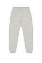 view 2 of 6 PANTALON SWEAT EMBROIDERED in Gray