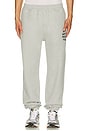 view 4 of 6 PANTALON SWEAT EMBROIDERED in Gray