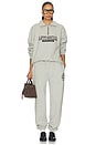 view 6 of 6 Embroidered Sweats in Gray