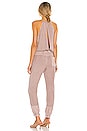 view 3 of 3 Diego Jumpsuit in Sparrow Pigment Wash