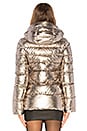 view 4 of 5 Down Jacket in Chrome