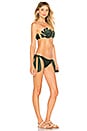 view 2 of 3 CONJUNTO BIKINI in Green
