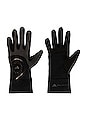 view 2 of 2 ASMC Gloves in Black & Soft Powder